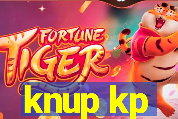 knup kp-t89 driver